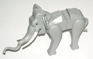 elephant1c02